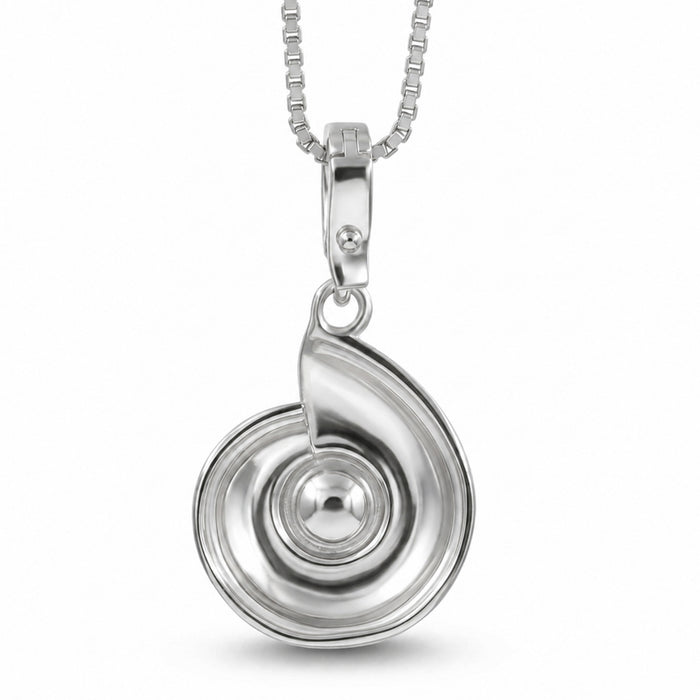 A silver nautilus shell pendant necklace on a matching silver box chain, shown against a plain white background.