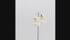 360-degree video of pearl glass ear jacket earrings ,gold plated, display on a white background