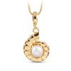 360 degree view of a Natural pearl nautilus shell pendant necklace in 1 micron 18K gold plated finish, suspended from a gold box chain against a plain white background.
