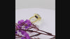 Natural lapis lazuli statement ring with large blue gemstone in 18K gold plated and silver plated finish for women